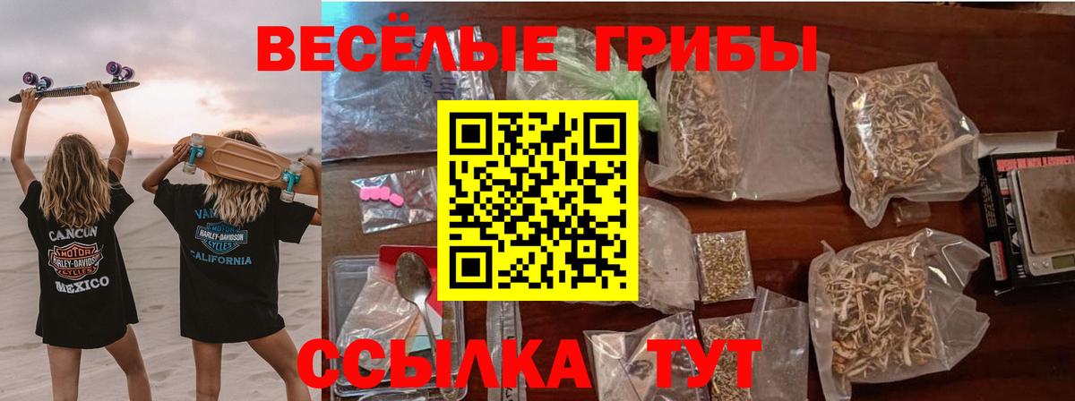 Ликино-Дулёво  Псилоцибиновые грибы Cubensis  даркнет сайт  Вход с VPN 